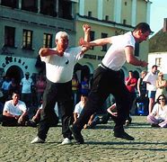 Image result for Amin Wu Tai Chi 88