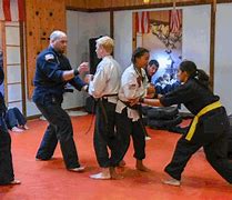 Image result for Types of Karate Stylers