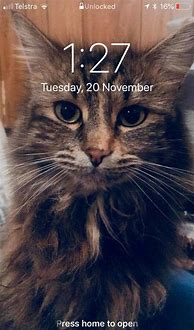 Image result for Best Lock Screen Ever