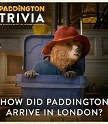Image result for Queen and Paddington Bear Memes