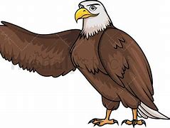 Image result for Eagle Cartoon Clip Art