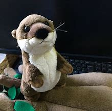 Image result for Otter Stuff Toy