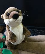 Image result for River Otter Plush