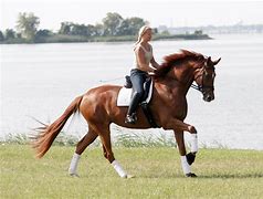 Image result for Horse Riding Photography