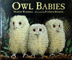 Image result for Owl Babies Book