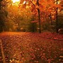 Image result for Fall Colors Wallpaper