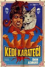 Image result for Cute Cat Karate