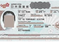 Image result for Business Visa