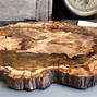 Image result for Identifying Petrified Wood