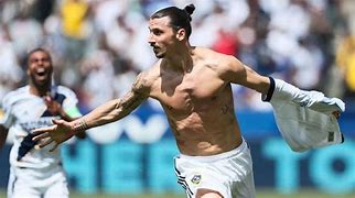Image result for Zlatan Ibrahimovic World Cup
