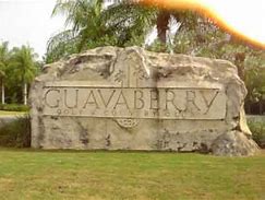 Image result for Guavaberry Juan Dolio