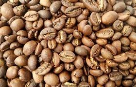 Image result for Liberica Beans