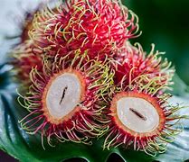 Image result for Fresh Red Fruits