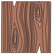 Image result for Wood Grain Drawing