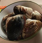 Image result for Bar Clams