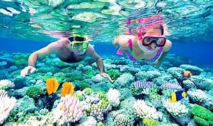 Image result for Best Maldives Island for Snorkeling