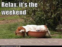 Image result for Relaxing Weekend Meme