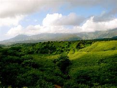Image result for Costco Lihue Kauai Hawaii