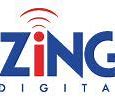 Image result for Zing Que ES