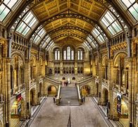 Image result for History Museum Attraction