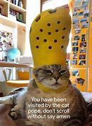 Image result for Stalker Cat Meme