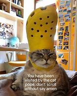 Image result for Cat Emote Meme