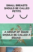 Image result for Funny Names for Everyday Things