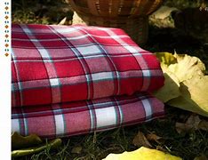 Image result for Flannel History
