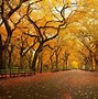 Image result for fall imagesize:large