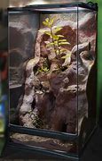 Image result for Zoo Med Critter Tank