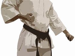 Image result for What Is the Most Brutal Martial Art