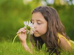 Image result for Human Smell