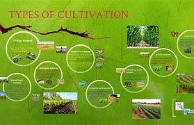 Image result for Types of Cultivation