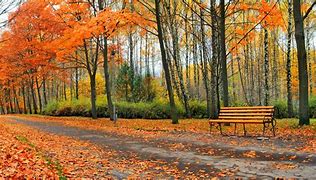 Image result for Autumn Fall Landscapes