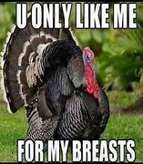 Image result for Evolution and Turkey Meme