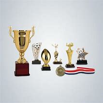 Image result for Sports Medals and Trophies