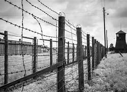Image result for Ghetto Gate Barb Wire