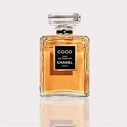 Image result for Coco Chanel Book