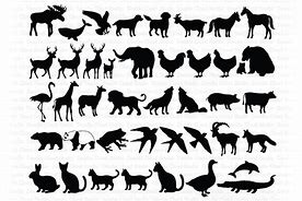 Image result for Animal SVG Files
