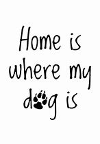 Image result for Where Is My Dog Meme