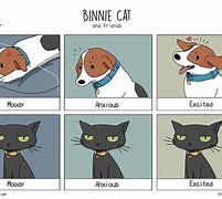 Image result for Cat Dog Cartoon Meme