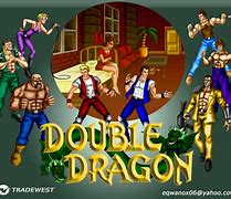 Image result for Double Dragon Dojo