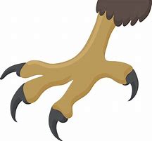 Image result for Eagle Claw Clip Art