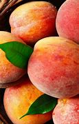 Image result for Peach Fruit Wallpaper