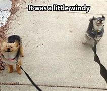 Image result for Funny Windy Day Memes