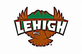 Image result for Lehigh Mountain Hawks Logo