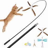 Image result for Cat Wand Toys for Indoor Cats Xoo34t3oud