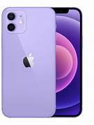 Image result for iPhone 12 Pro Max Viola