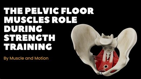 Image result for How to Floor Division in JavaScript