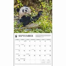 Image result for Giant Panda Calendar 2023